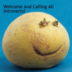 Welcome & Calling All Introverts!