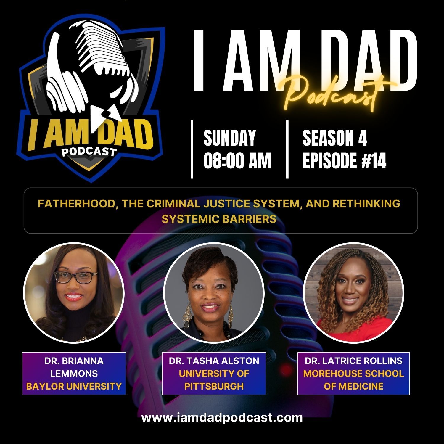 Breaking Barriers: Dr. Brianna Lemmons, Dr. Tasha Alston, and Dr. Latrice Rollins on Redefining Black Fatherhood