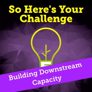 Building Downstream Capacity with your Partners
