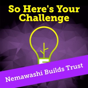 Nemawashi Builds Trust