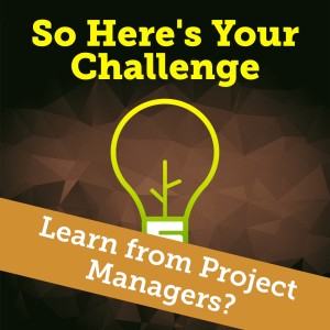 What Can We Learn from Project Managers?