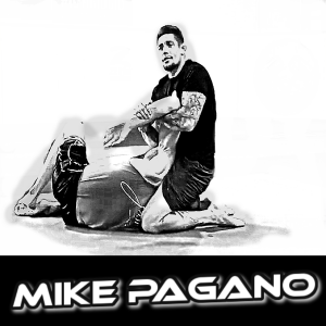 Mike Pagano / Working with high level teams