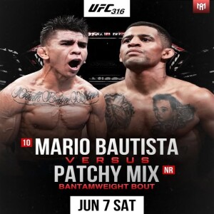 UFC 316 Match Ups / Martial Art Systems