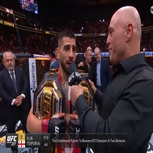 UFC 317 Quick Review