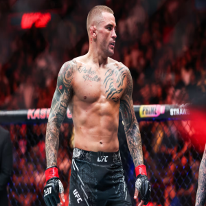 Combat Sports in Review