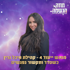 מפגש ייעוד 4 - כשסדר ותקשור נפגשים