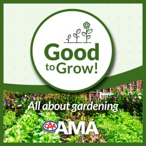 Good to Grow | Ep. 5: Gardening with Children