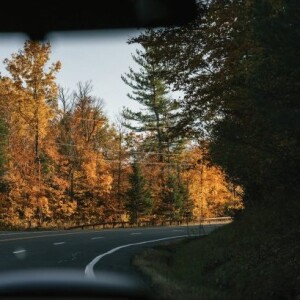 Five Tips for Fall Road Trip Safety in Ontario