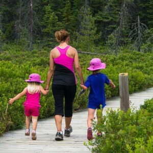 The Friends of Algonquin Park Celebrates 40 Years