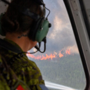 Communities Unite Against Canada’s Wildfires: Resilience and Support Shine Amidst the Flames
