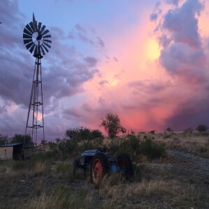 Adventure Along Mountain Trails and Riverbanks in Sierra Vista, Arizona