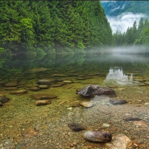 Researcher Finds Cool Pools to Save Salmon Schools