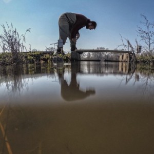 California Conservationists and Farmers Unite to Protect Salmon