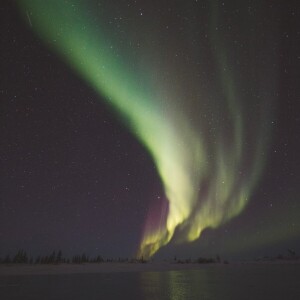 Witness the Magic of the Northern Lights