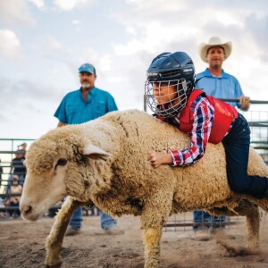 Marana, Arizona: Where Adventures Come to Life