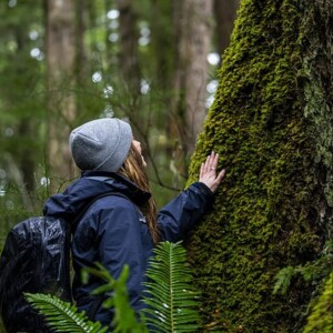 Discovering the Wild Beauty of Vancouver Island North