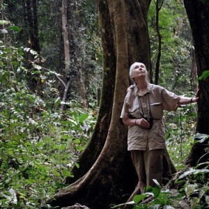 Beyond the Jungle: How Dr. Jane Goodall Redefined Conservation