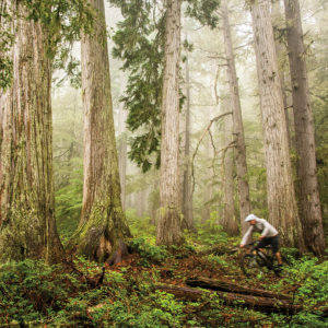 Where the Wild Things Are: Your Guide to Riding Nelson and Kootenay Lake