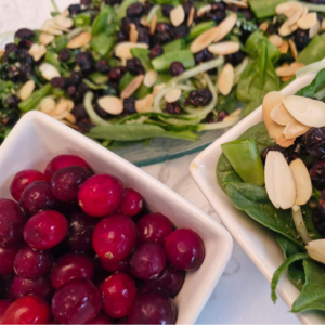 Cranberries: A Bright (and Tasty) Addition to the Great Outdoors