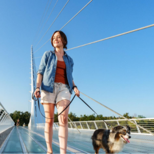 Base Camp Redding: Your Gateway to Northern California’s Natural Treasures
