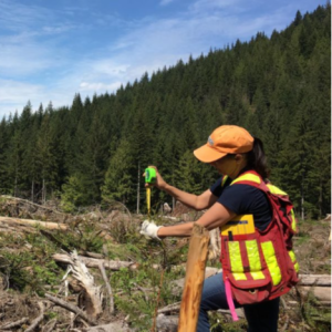 Forest Professionals: Misunderstood but Vital to Caring for Our Forests