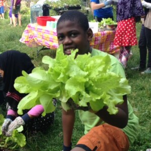 Unlocking the Transformative Power of School-Community Gardens