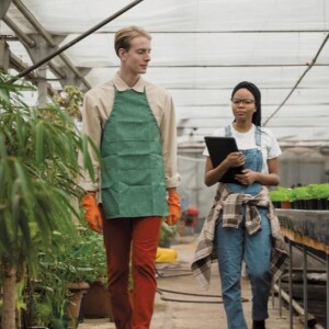 Canada’s Businesses are Getting in the Green