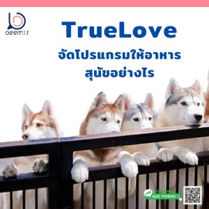 EP10| TrueLove ดูแลเรื่องอาหารและบำรุงขนน้องหมาอย่างไร