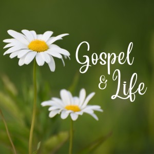 The Gospel Life