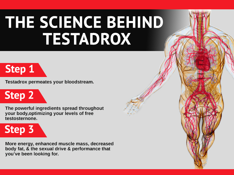 Testadrox: Free Trial To Maximize Your Endurance & Libido