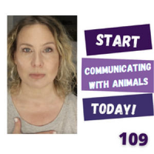 Important Animal Communication Tip! / Live Animal Communications | 109