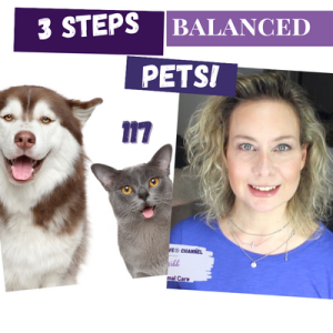 3 Steps To Balanced Pets! Animal Communication, Dog Training, Pet Confidence | 117