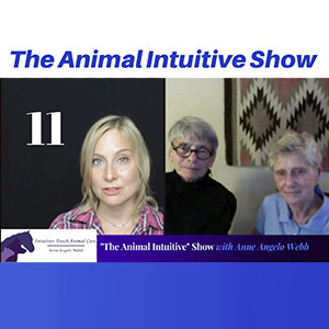 Ep 11 | Tallgrass Animal Acupressure Institute