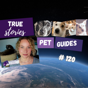 Discover your purpose with pet soul connections /Animal Communication Intro Class | 120