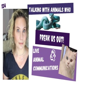 Cats Can’t Be In The Same Room - Live Communication //Scary Animal Class | 114