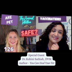 🐶🙀Veterinarian weighs in-vaccine harm💥What to AVOID! Ep 126