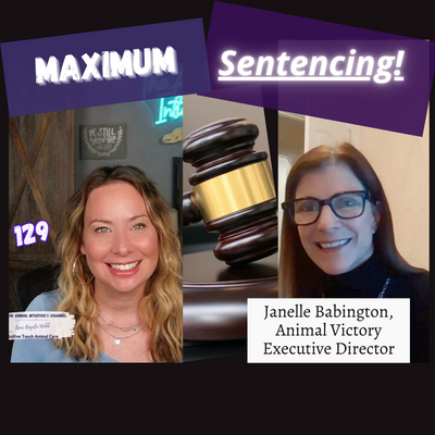 The Animal Intuitive® Channel