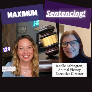 🐾Animal Victory-using petitions to get justice for animals works! | Ep 129