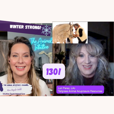 The Animal Intuitive® Channel