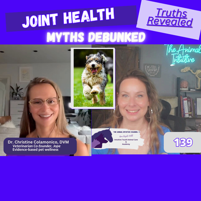 The Animal Intuitive® Channel