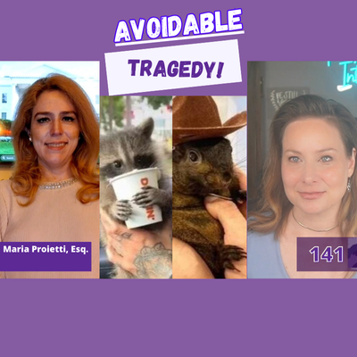 The Animal Intuitive® Channel