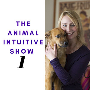 Ep 1 | The Secret Truth About Animal Communication and Why It Should Matter To You