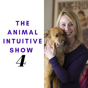 Ep 4 | Connect with Your Inner Animal Communicator Challenge