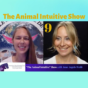 Ep 9 | Joanne Lefebvre Connolly, DVM | Veterinarian, Animal Communicator