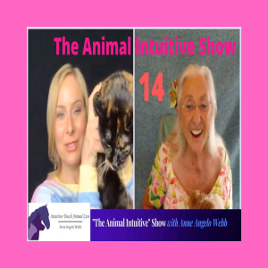 Ep 14 | Linda Tellington Jones | TTouch & Animal Communication