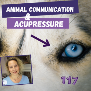 Animal Communication, Acupressure Winter Water Element, Anxious Pets | 116