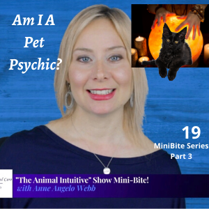 Ep 19 | Am I A Pet Psychic? | MinBite Series Part 3: What Is Animal Communication