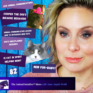 The Animal Intuitive® Channel