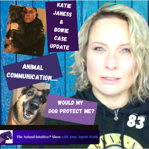 Animal Communication Asking My Dog If He’d Defend Me?🐾Katie Janness Case Update💙| Ep 83