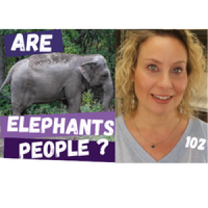 Happy Declared ”Not A Person” In Court- Elephant Interspecies Communication | 102